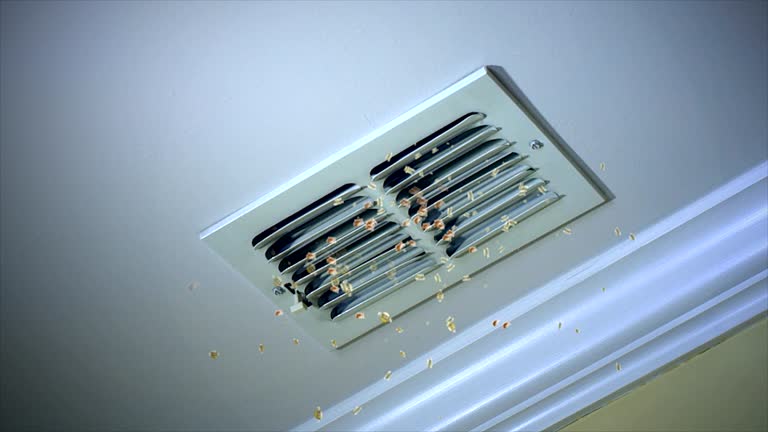 Professional Airduct Cleaning in Conneaut Lakeshore, PA