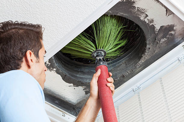 Air Duct Mold Removal in Conneaut Lakeshore, PA